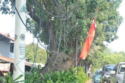 Menggantung Nyawa di Dahan Kota